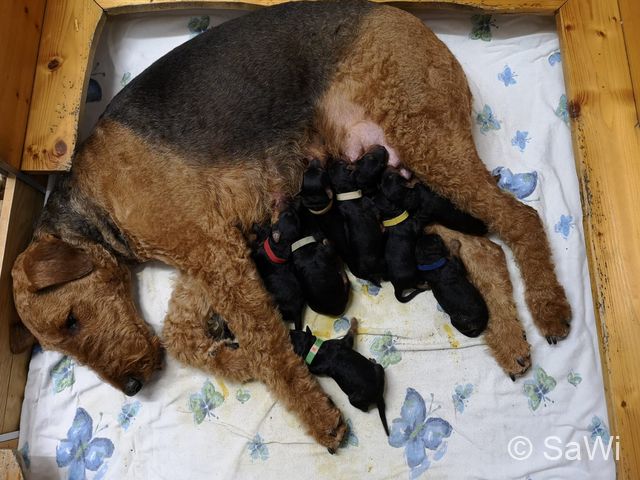 IMG 20190108 WA0004
