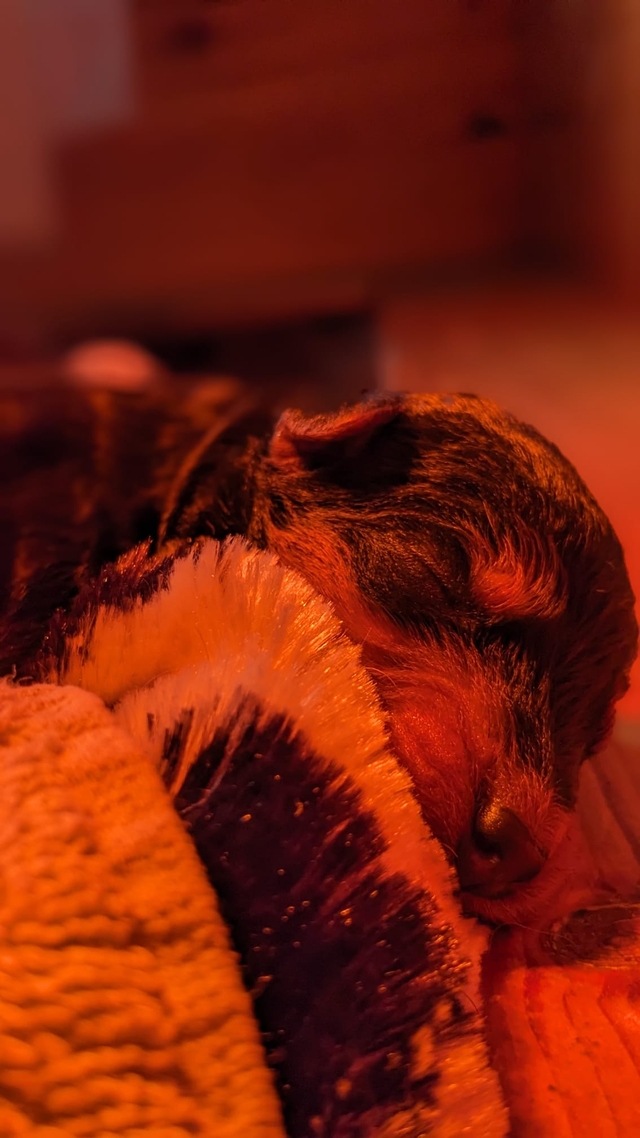 IMG 20240925 WA0011